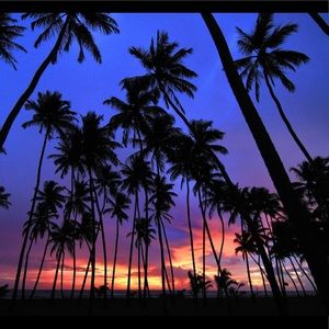 Meet your Posher, Evan